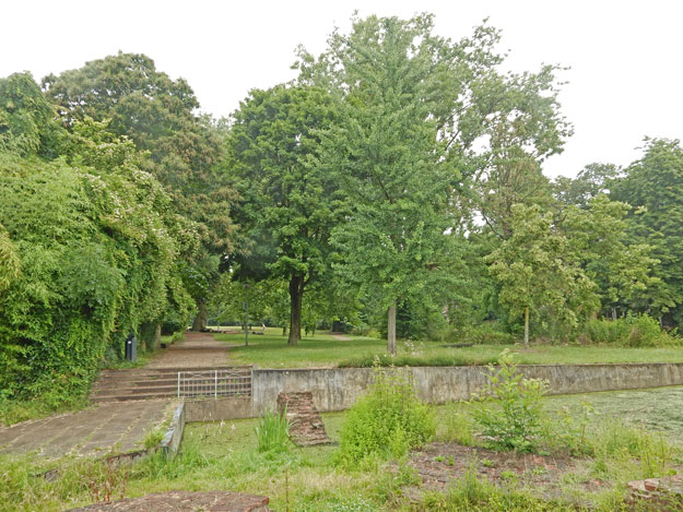 botanische tuin Springer