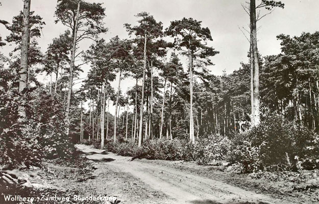 Buunderkamp