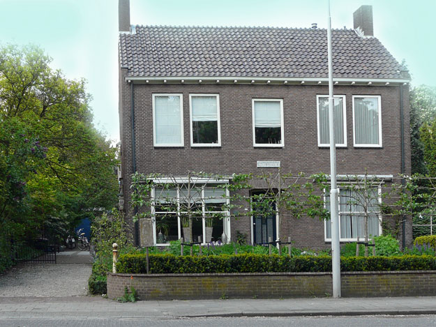 Bouvardia Renkum