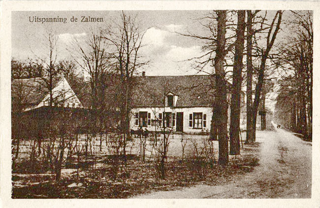 Zalmen Doorwerth