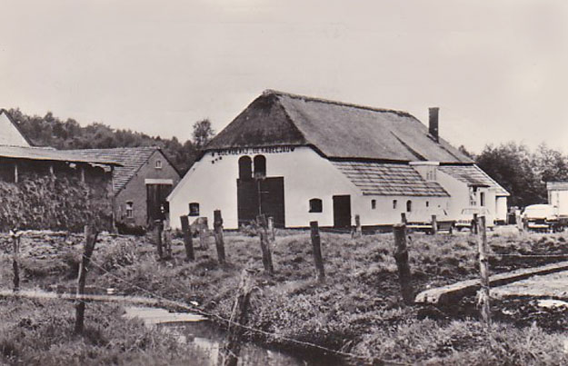 Kinderkamp Kabeljauw Heelsum