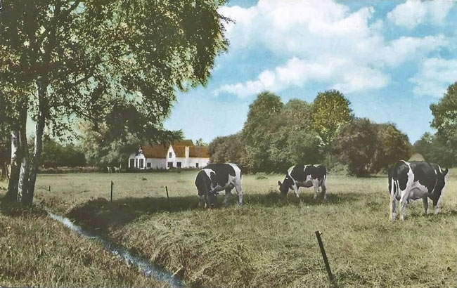 Landgoed de Kamp, ansicht 1973