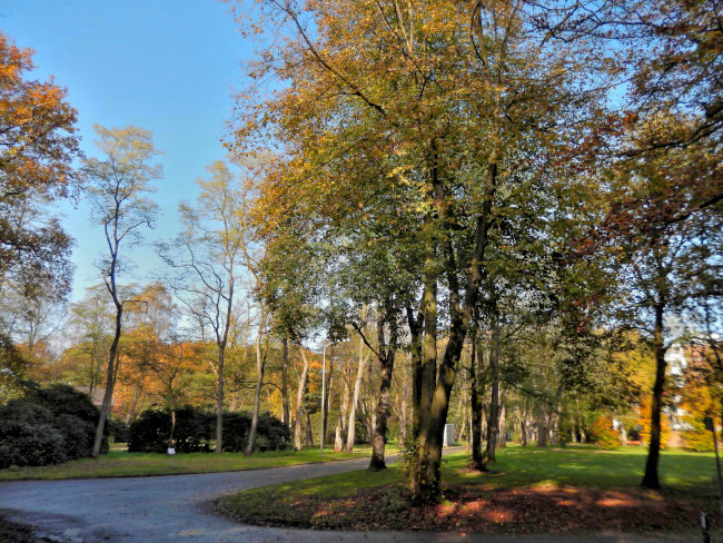 omgeving Kapelleboom te Doorwerth