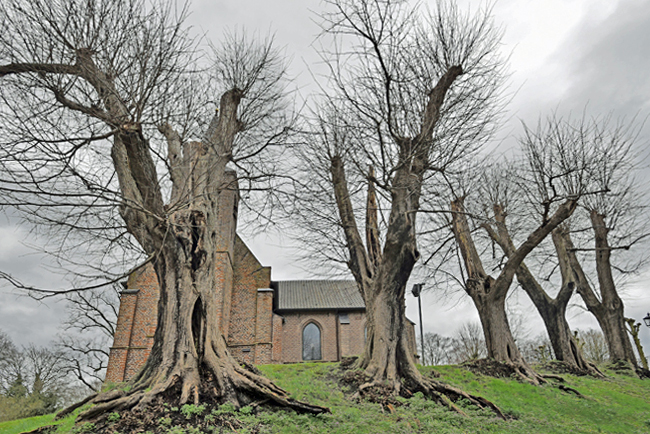 Heelsum kerkje op de heuvel