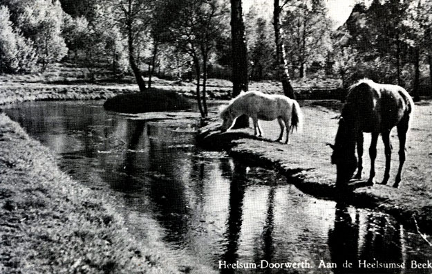 Heelsumsebeek Heelsum