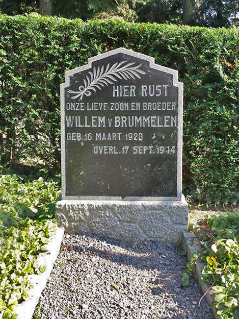Willem van Brummelen