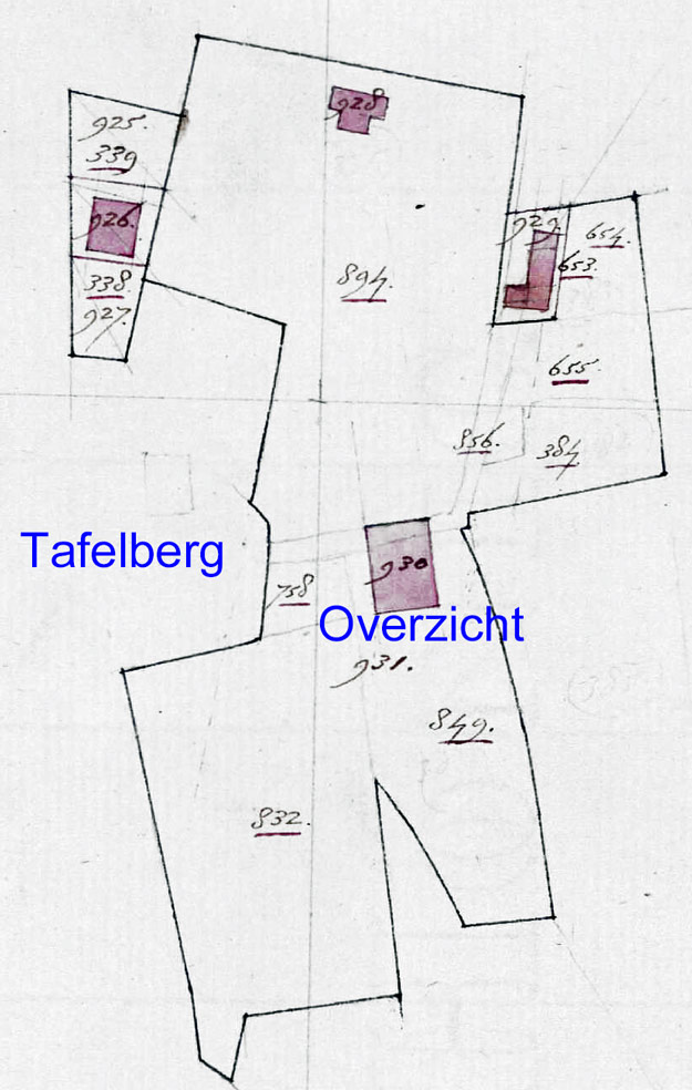 Overzicht